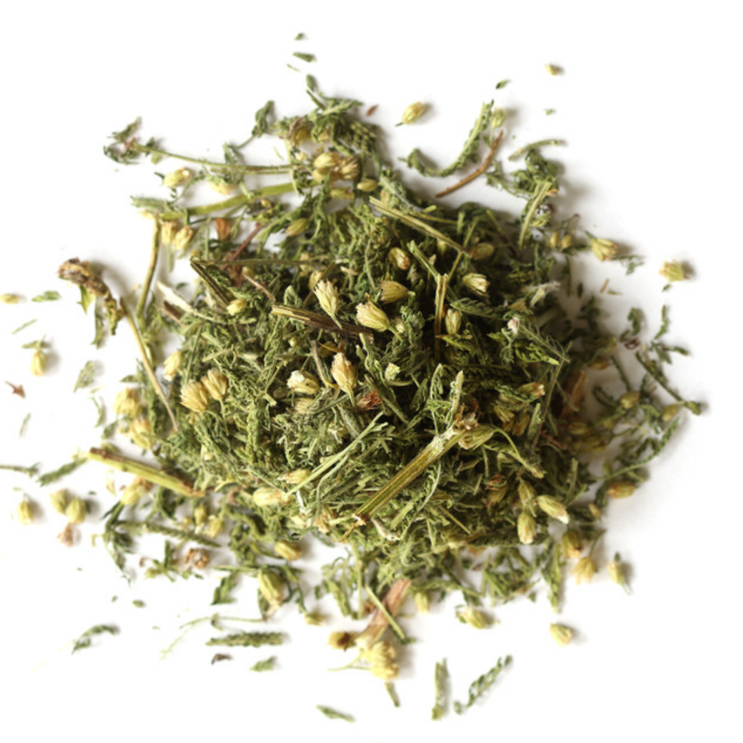 Yarrow | Organic
